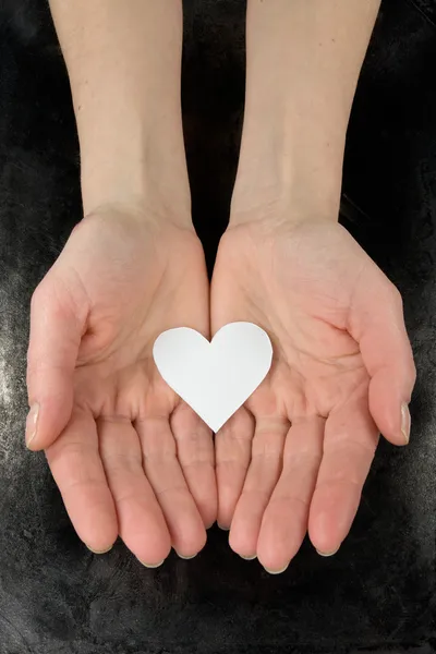 Paper heart in a hands — Foto de Stock
