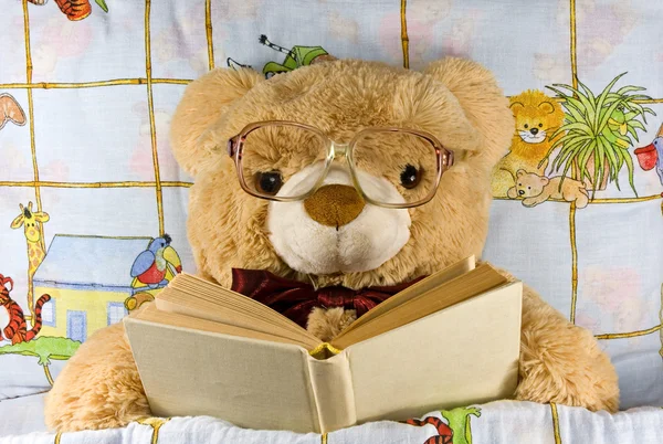 Teddy Bear Glasses Reading Book Himself — Stock Photo, Image