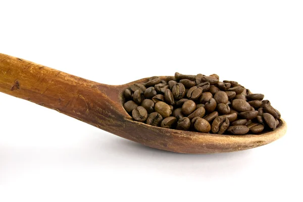 白い背景の上のコーヒー豆の木のスプーン — ストック写真