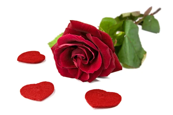Κόκκινο τριαντάφυλλο με καρδιές — Φωτογραφία Αρχείου