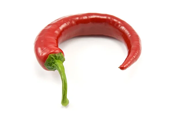 Pojedynczy papryka chili — Zdjęcie stockowe