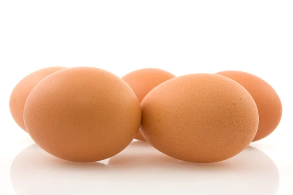 Braune Eier mit Reflektion — Stockfoto