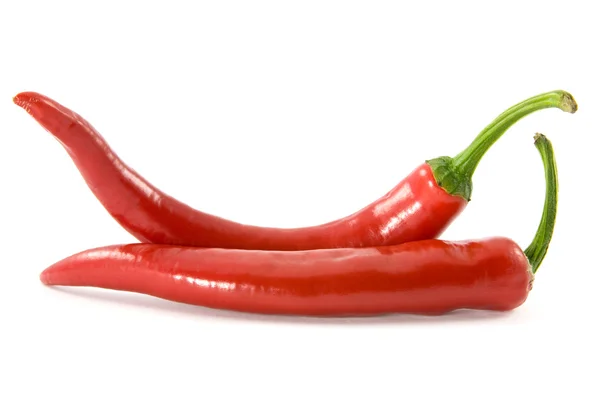 Två röd chilipeppar — Stockfoto