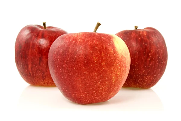 Три червоні яблука над білим — стокове фото