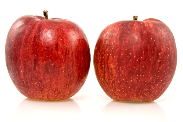 Dvě čerstvé rip jablka — Stock fotografie