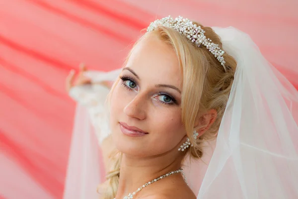 Bela jovem noiva manter o véu . — Fotografia de Stock