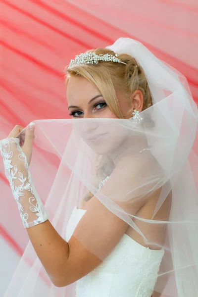 Vackra unga bruden hålla slöjan. — Stockfoto