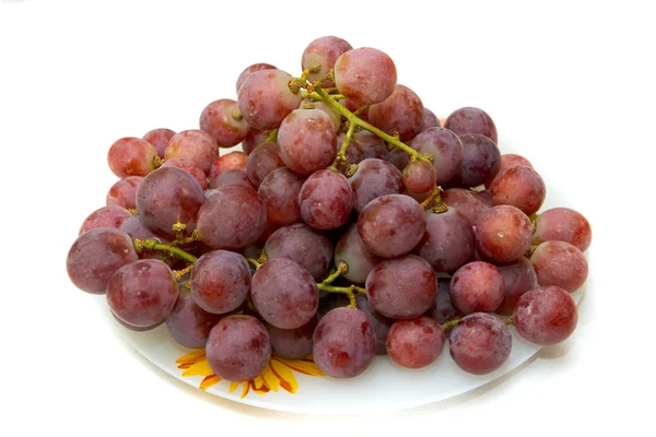 Dark Grapes Plate Isolated White Background — Stock Photo, Image