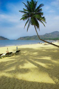 Tropical beach of Palolem, Goa state, India clipart