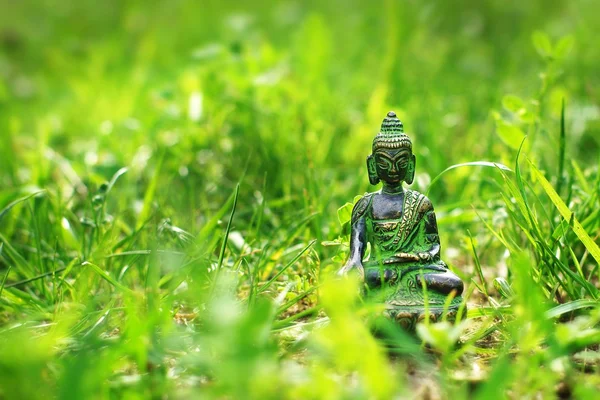 Buddha statue in the grass — Stock Photo, Image