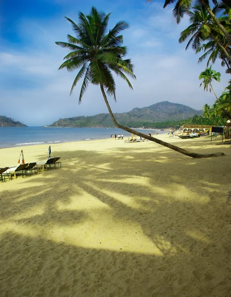 Tropiska stranden i palolem, goa staten, Indien — Stockfoto