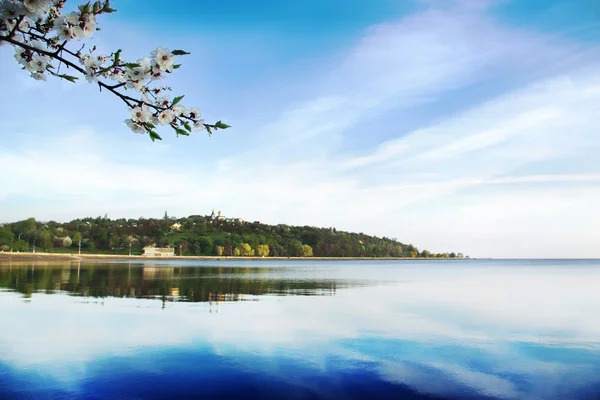 stock image Spring landscape with the river