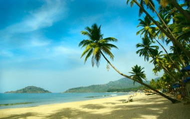 Tropical beach of Palolem, Goa, India clipart