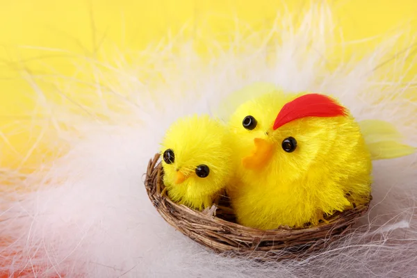 Easter chickens in the nest — Stock Photo, Image