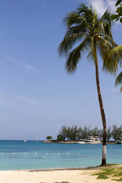 Escena de playa Jamaica — Foto de Stock
