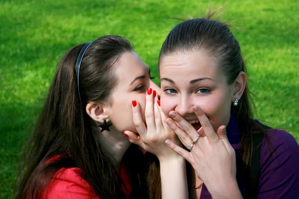 Twee Vrienden Maken Gossip — Stockfoto