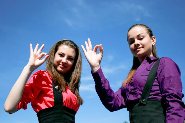 Две молоденькие деловые дамы в порядке — стоковое фото
