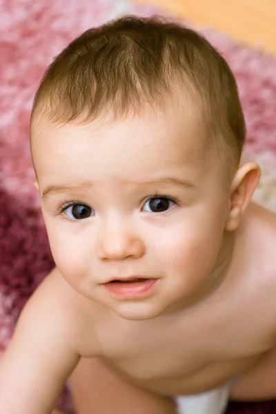 可爱的高加索宝宝在地毯上 — 图库照片