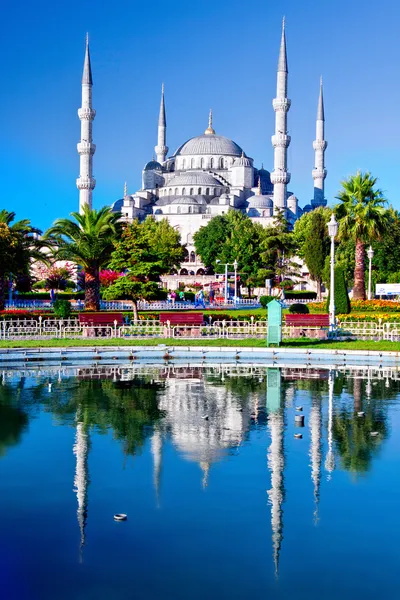Μπλε τζαμί στην Κωνσταντινούπολη, γαλοπούλα Εικόνα Αρχείου