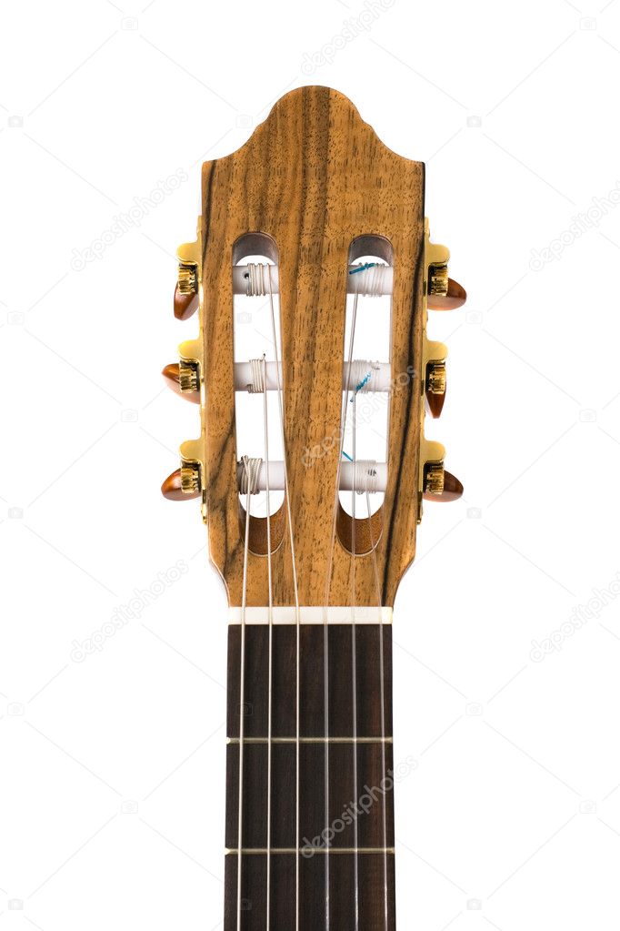 Guitar Neck