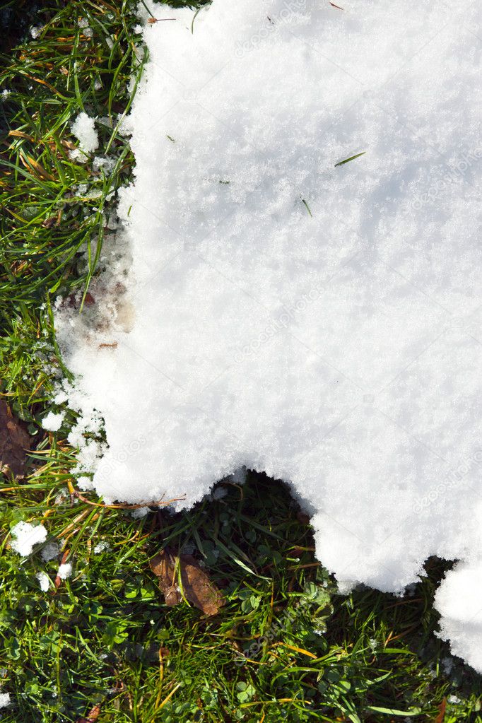 Snow On Grass