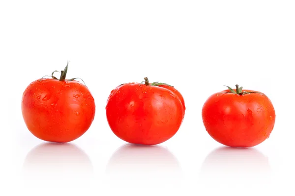 赤いトマト野菜果物 — ストック写真