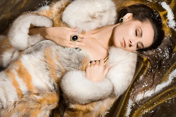 Beautiful woman in a fur coat Stock Image