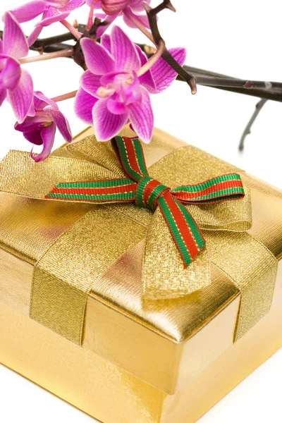 Dárková krabička s fialovou orchidejí — Stock fotografie