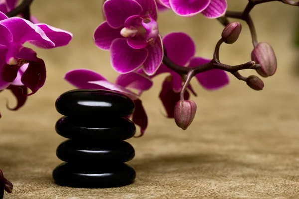 Spa essentials (piramide van stenen met paarse orchideeën) — Stockfoto