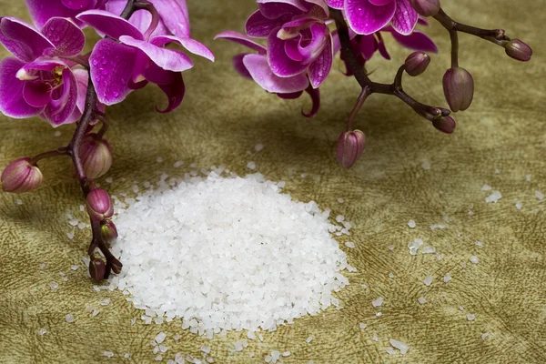 Spa essentials (bath salt and flowers of orchids) — Stock Photo, Image