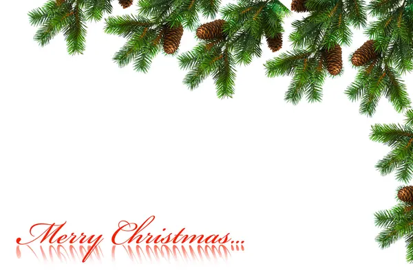 Ramo dell'albero di Natale su bianco — Foto Stock