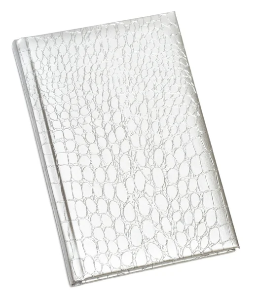 Zilveren notebook geïsoleerd op wit — Stockfoto