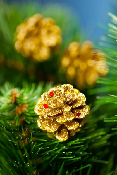 Zweig des Weihnachtsbaums mit Tannenzapfen — Stockfoto