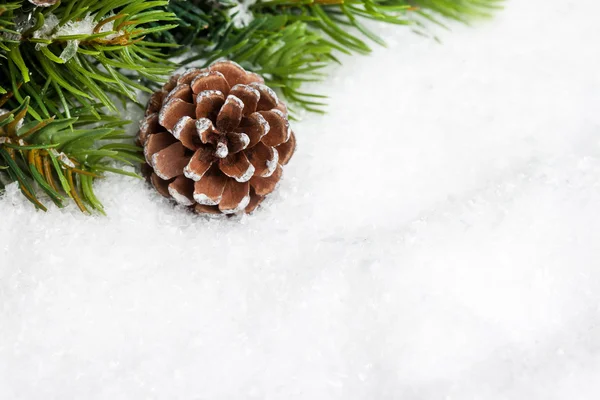 Ramo de árvore de Natal com pinecone — Fotografia de Stock