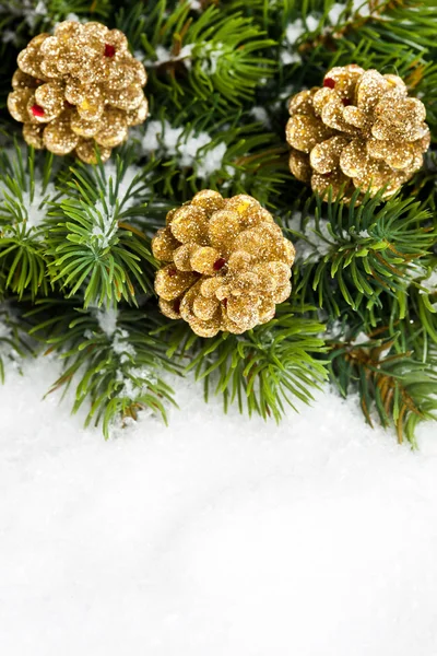 Zweig des Weihnachtsbaums mit Tannenzapfen — Stockfoto