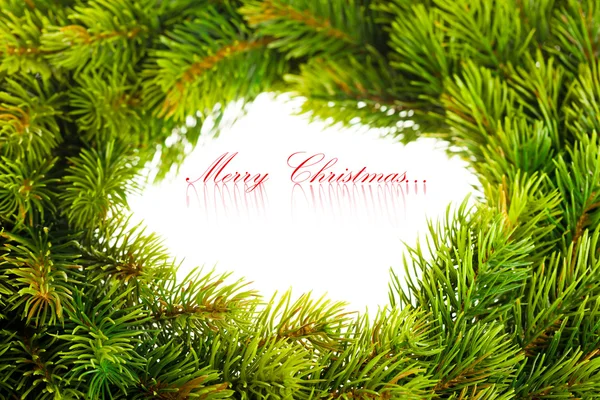 Tak van kerstboom op wit — Stockfoto