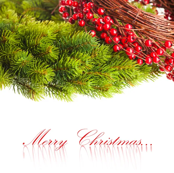 Vánoční strom a Evropské holly — Stock fotografie