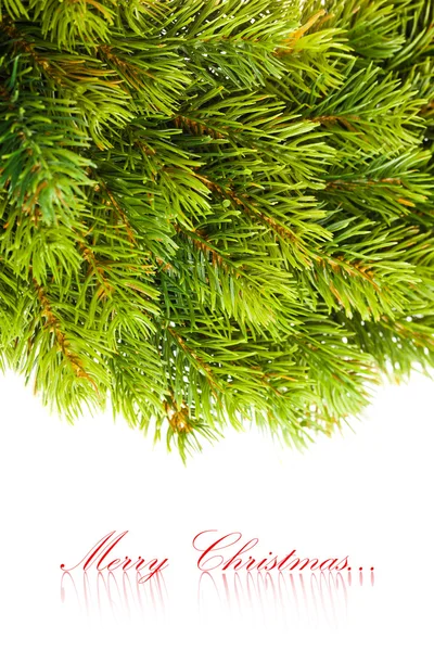 白色圣诞树上的枝条 — 图库照片