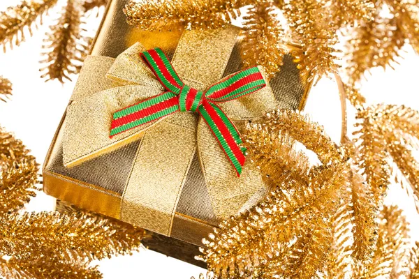 Rama del árbol de Navidad con caja de regalo — Foto de Stock