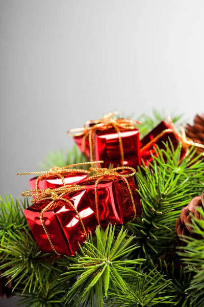 Ramo dell'albero di Natale con scatola regalo — Foto Stock