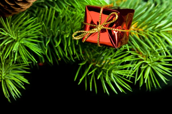Ветвь елки с подарочной коробкой — стоковое фото