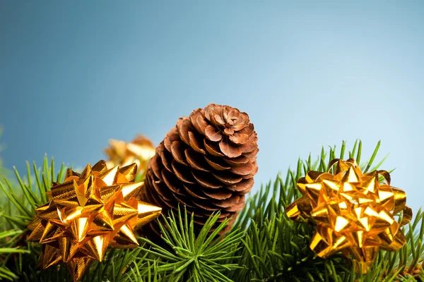 Zweig des Weihnachtsbaums mit Schleife — Stockfoto