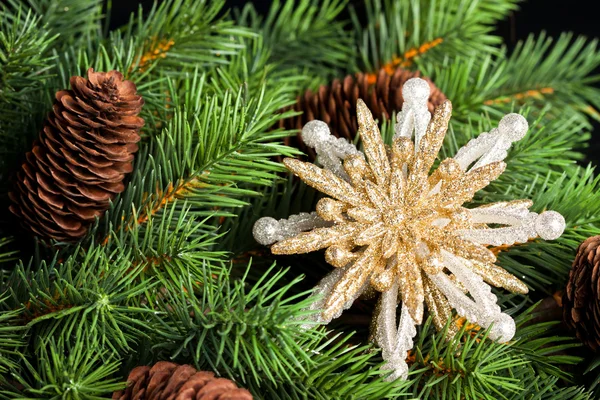 Zweig des Weihnachtsbaums mit Schneeflocke — Stockfoto