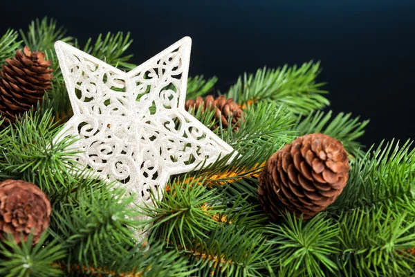 Pobočka vánoční stromek s hvězdou — Stock fotografie