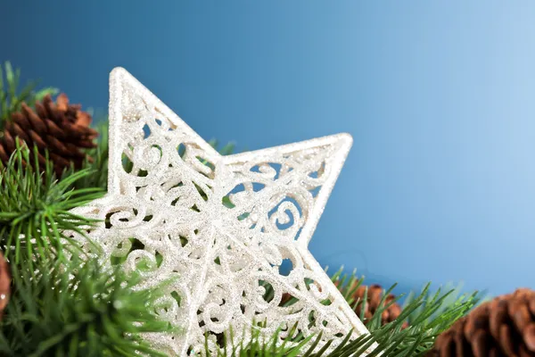 Pobočka vánoční stromek s hvězdou — Stock fotografie