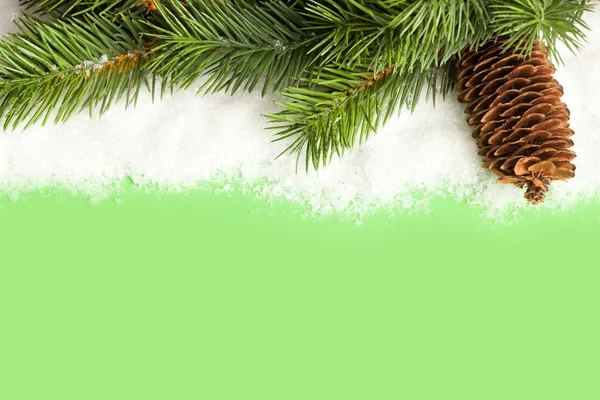 Süper Ile Noel Ağacı Dalı — Stok fotoğraf