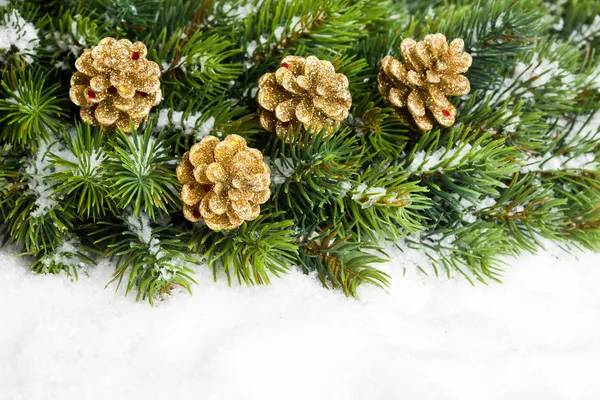 松かさかとクリスマス ツリーの枝 — ストック写真