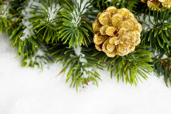 Ramo dell'albero di Natale con pigna — Foto Stock