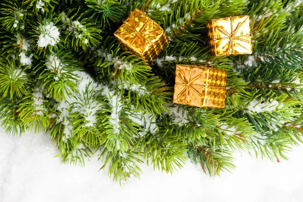 Ramo da árvore de Natal com caixas de presente — Fotografia de Stock