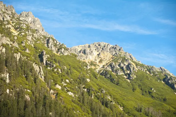 stock image Hiking in the Polish Tatra